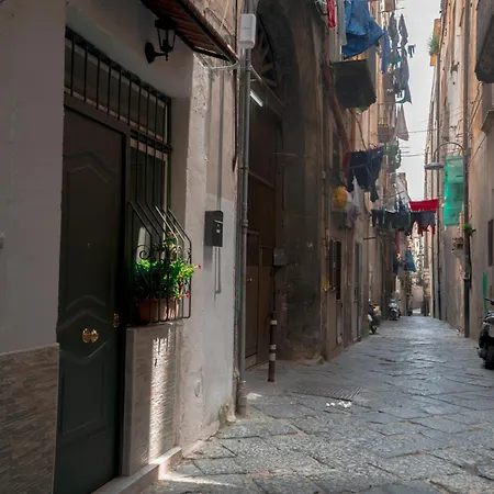 Vecchia 20 Hébergement de vacances *
