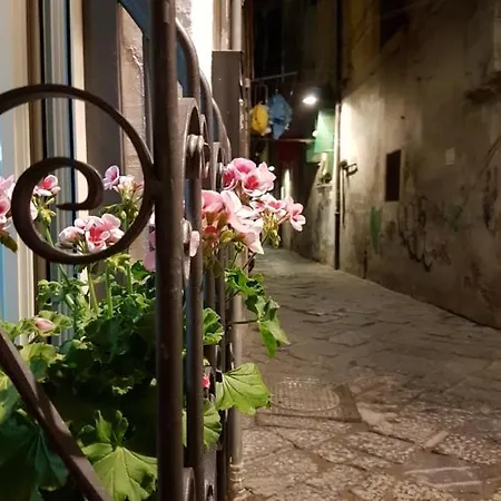 Hébergement de vacances Vecchia 20